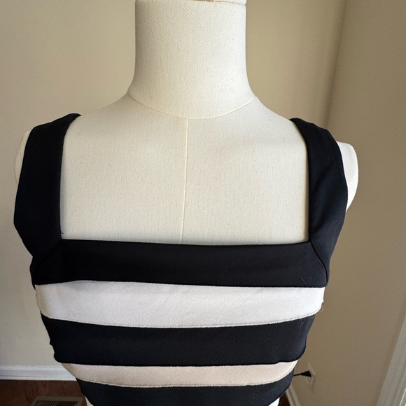 White House Black Market Striped Color Block  Sheath Dress Black & Tan Size 00 - Picture 5 of 10
